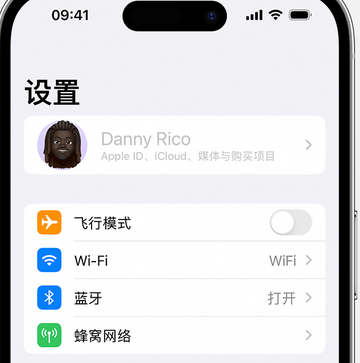 益阳appleID维修服务iPhone设置中Apple ID显示为灰色无法使用