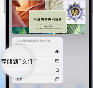 益阳apple维修中心分享iPhone文件应用中存储和找到下载文件