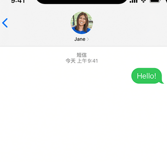 益阳apple维修iPhone上无法正常发送iMessage信息