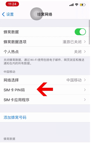 益阳苹果14维修网分享如何给iPhone14的SIM卡设置密码 