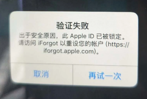 益阳iPhone维修分享iPhone上正常登录或使用AppleID怎么办 