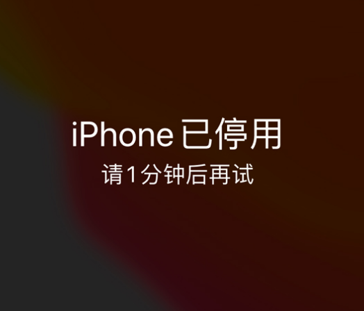 益阳苹果手机维修分享:iPhone 显示“不可用”或“已停用”怎么办？还能保留数据吗？ 