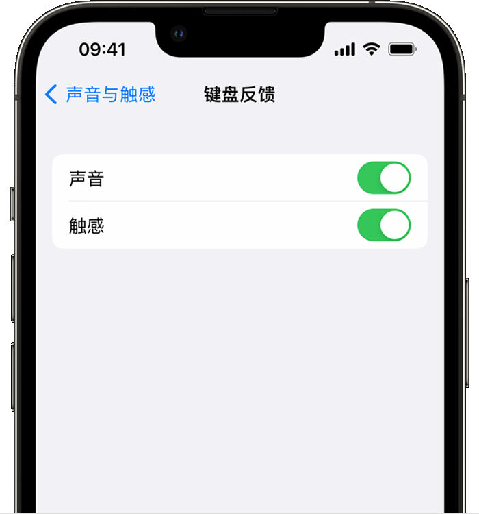 益阳苹果14维修店分享如何在 iPhone 14 机型中使用触感键盘 