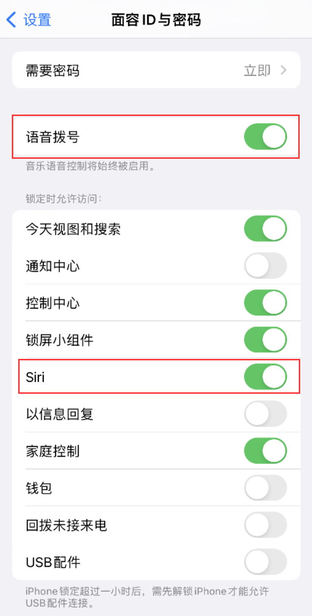 益阳苹果维修网点分享不解锁 iPhone 的情况下通过 Siri 拨打电话的方法 