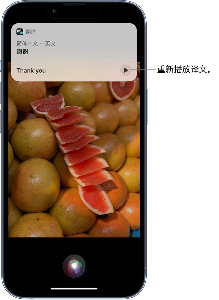 益阳苹果14维修分享 iPhone 14 机型中使用 Siri：了解 Siri 能帮你做什么 