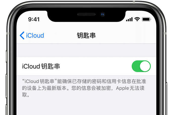 益阳苹果手机维修分享在 iPhone 上开启 iCloud 钥匙串之后会储存哪些信息 